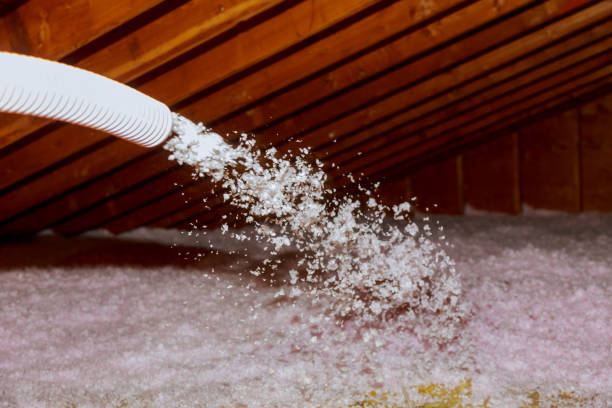 Best Insulation for Specific Applications in Plainview, TN
