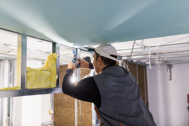 Types of Insulation We Offer in Plainview, TN
