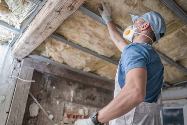 Best Commercial Insulation in Plainview, TN