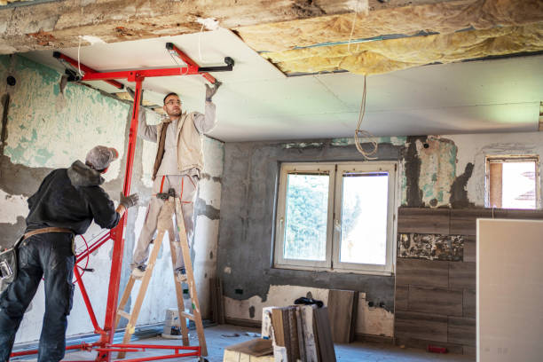 Best Spray Foam Insulation in Plainview, TN